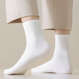 FXBNZQ Womens Cute Crew Socks Casual Athletic Aesthetic Socks Neutral Cotton Socks for Women